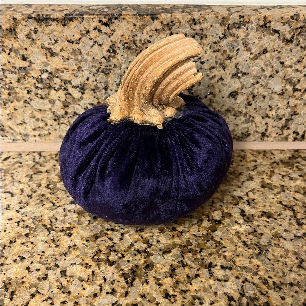 Velveteen Pumpkin Home Accent in Deep Purple